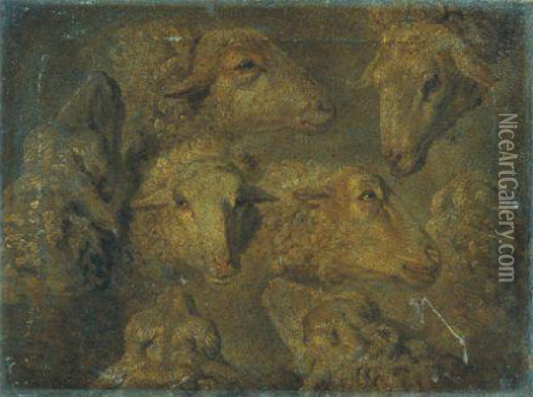 Etude De Tetes De Moutons Oil Painting - Jean-Baptiste Huet I