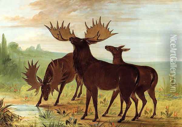 Moose at Waterhole Oil Painting - George Catlin
