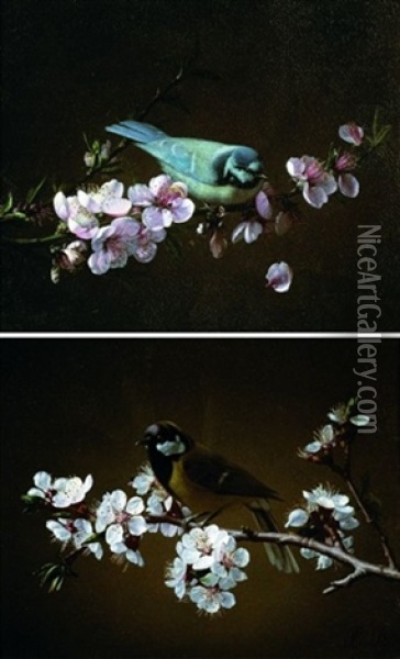 Mesange Charbonniere Sur Une Branche De Cerisier En Fleurs (+ Mesange Bleue Sur Une Branche; 2 Works) Oil Painting - Pierre Etienne Remillieux