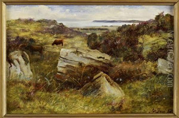 A Rocky Outcrop, Galloway Oil Painting - James Jnr Faed