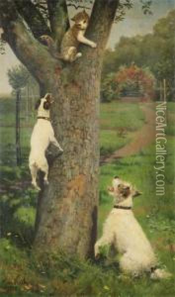 Cat In A Tree Cornered By Dogs Oil Painting - Caspar Von Reth