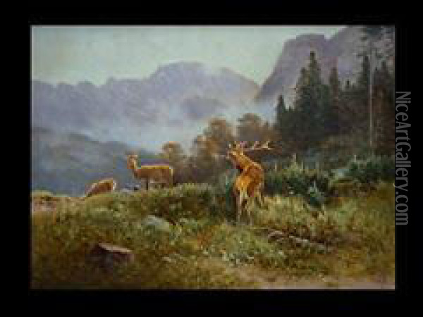 Hirschfamilie Im Hochgebirge Oil Painting - Ludwig, Louis Von Sckell