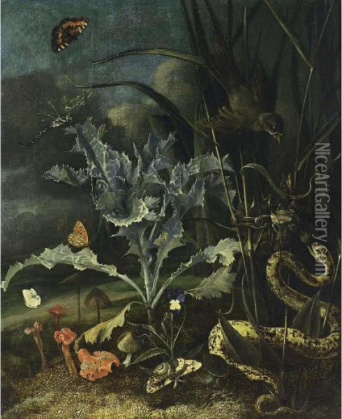 A Forest Floor Still Life With A
 Milk Thistle, Mushrooms, A Wood Snail, A Blue, A Queen Of Spain 
Fritillary, An Emperor Moth, A Tortoise Shell, A Dragon-fly, Together 
With An Aspis Adder Taking A Fledgeling From A Nest Of A Sedge-warbler Oil Painting - Otto Marseus Snuff. Van Schrieck