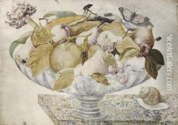 Still Life With Plums, Pears, 
Oranges, Carnations And Butterflies, In A Footed Bowl On A Marble Ledge Oil Painting - Octavianus Montfort