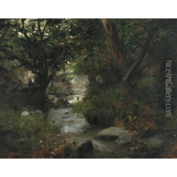 A Forest Stream Oil Painting - Gyula Glatter