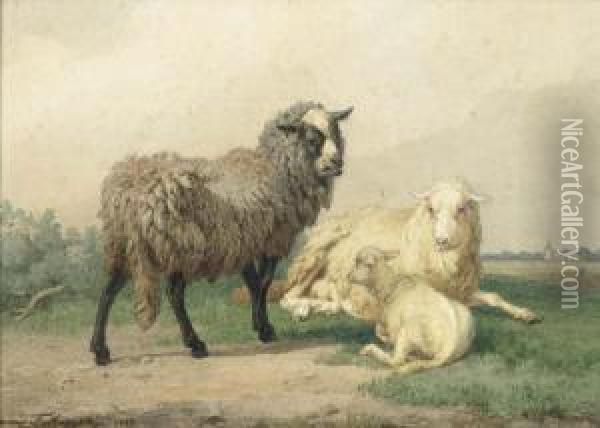 Sheep. 1868. Oil Painting - Edmond Jean Baptiste Tschaggeny