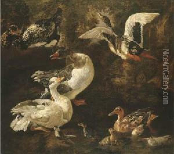 Geese, Ducks And Ducklings In A Landscape With A Pond Oil Painting - Jacomo (or Victor, Jacobus) Victors