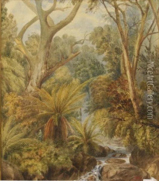 Bush Scene 1883 Oil Painting - Francis Blower Gibbes