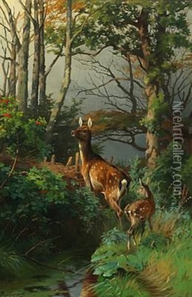 A Doe With A Fawn Oil Painting - Adolf Heinrich Mackeprang