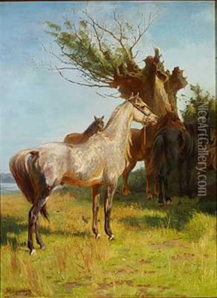 En Ridehest. Heste Ved Et Gammelt Egetrae Oil Painting - Adolf Heinrich Mackeprang