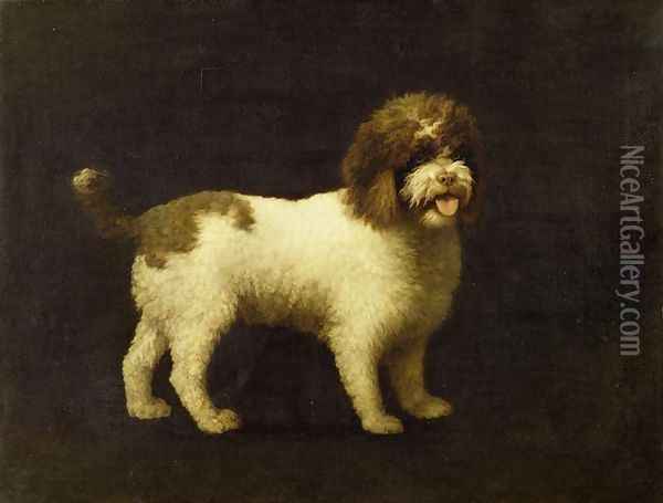 A Water Spaniel, 1769 Oil Painting - George Stubbs