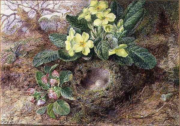 Still Life with Primroses and Birds Nest Oil Painting - George Clare