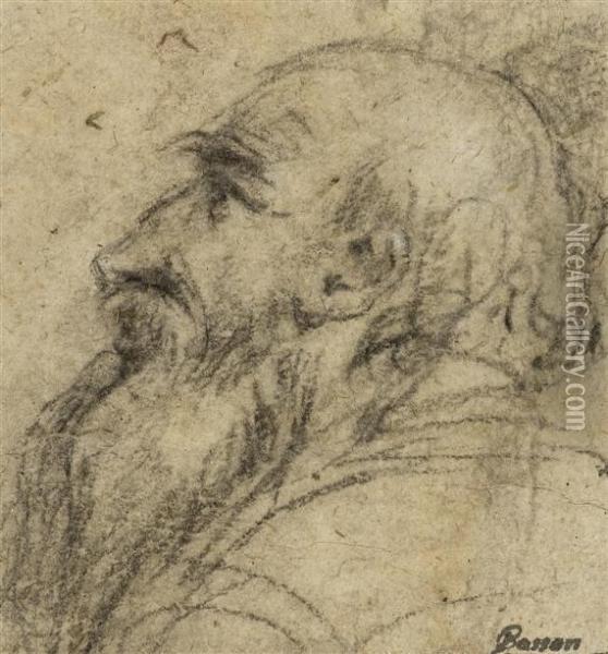 Study Of A Bearded Manin Profile To The Left Oil Painting - Jacopo Bassano (Jacopo da Ponte)
