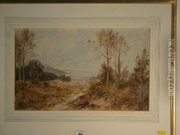 Dune With Trees And Distant Bay Oil Painting - Albert Pollitt