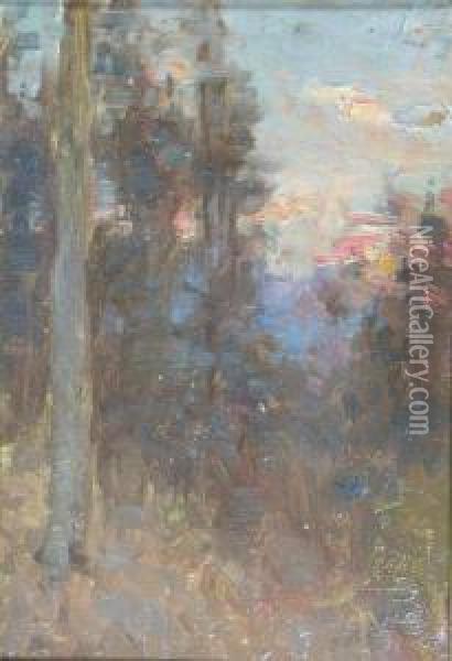 Sunset Through The Trees Oil Painting - Patrick William Adam