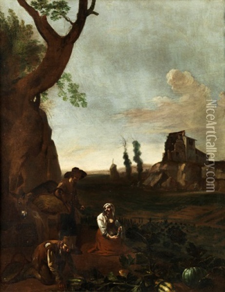 Abendliche Kurbisernte Oil Painting - Michelangelo Cerquozzi