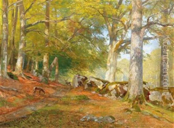 In The Lainzer Tiergarten, Vienna Oil Painting - Hugo Darnaut