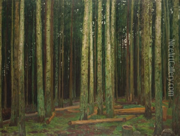 Im Waldesinneren Oil Painting - Antonin Hudecek