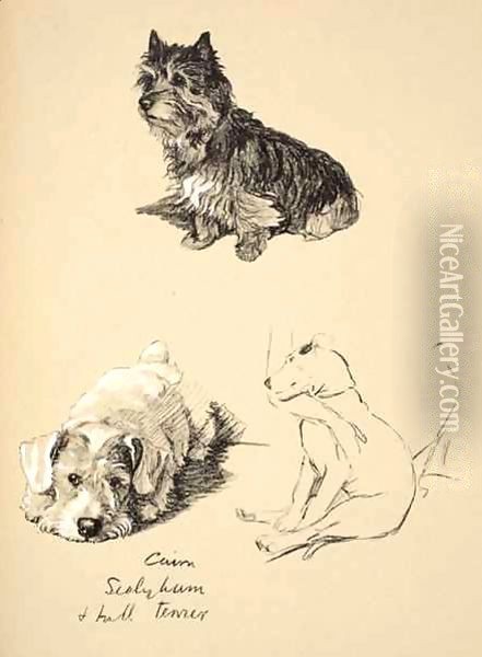 Cairn, Sealyham and Bull Terrier Oil Painting - Cecil Charles Aldin