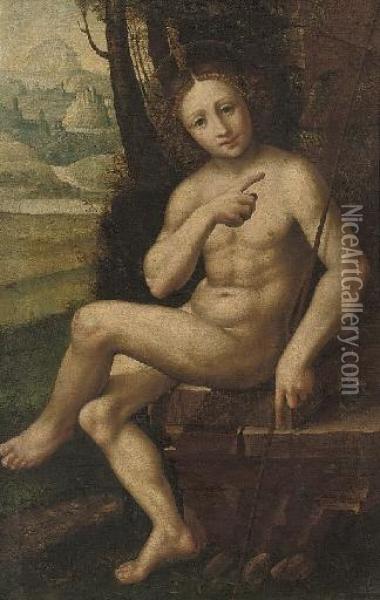Saint John The Baptist In The Wilderness Oil Painting - Cesare da Sesto