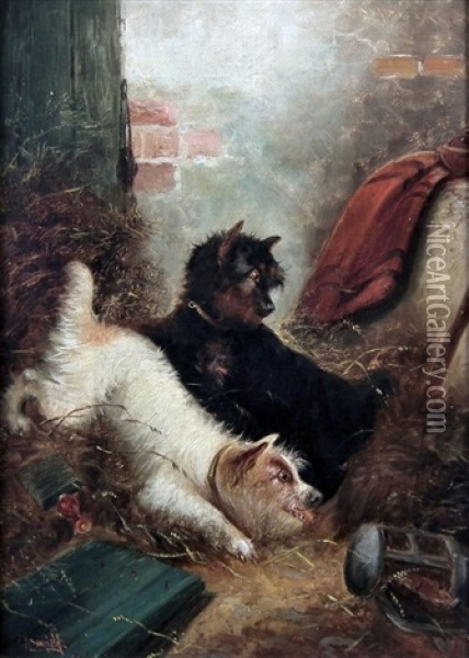 Terriers In A Barn Oil Painting - Edward Armfield