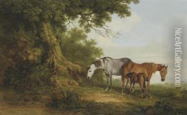 Mares And A Foal In A Wooded Landscape Oil Painting - Thomas Roberts