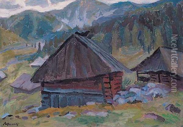 Hala Jaworzynska Oil Painting - Stanislaw Kamocki