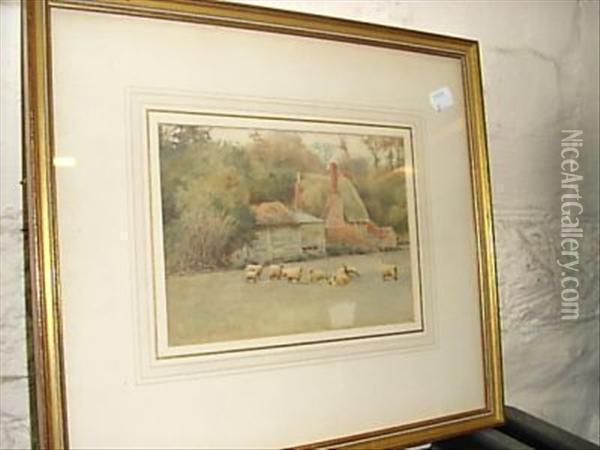 Sheep By A Cottage Oil Painting - Thomas Nicholson Tyndale