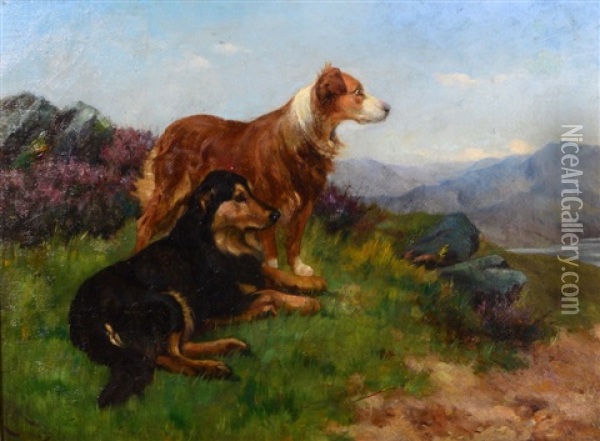 Two Collies In A Landscape Oil Painting - Wright Barker