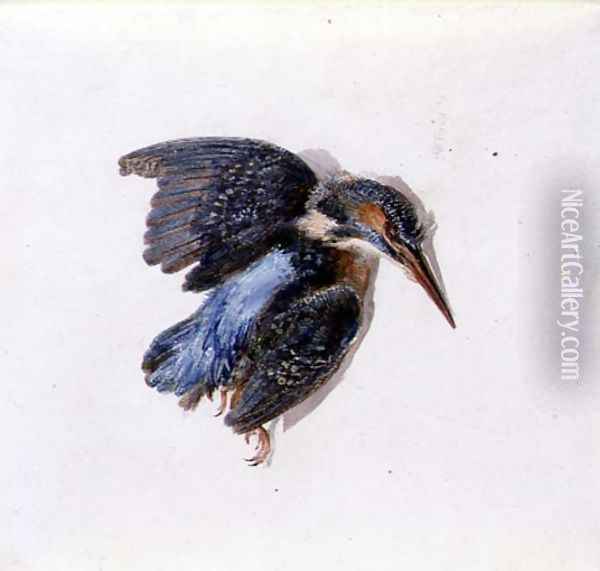 Kingfisher, from The Farnley Book of Birds, c.1816 Oil Painting - Joseph Mallord William Turner