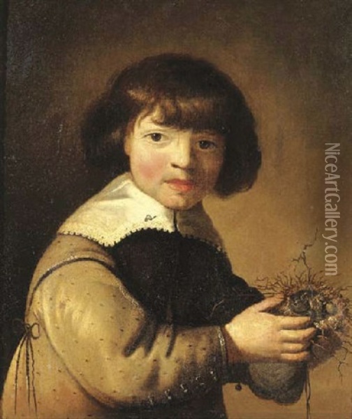 Portrait Of A Young Boy In A Green Smock, Holding A Bird's Nest Oil Painting - Jacob Frans van der Merck