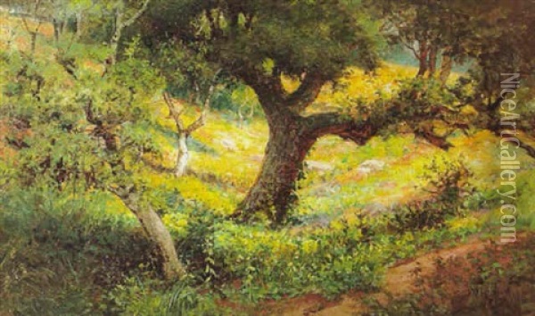 Oak Glen Oil Painting - William Lee Judson