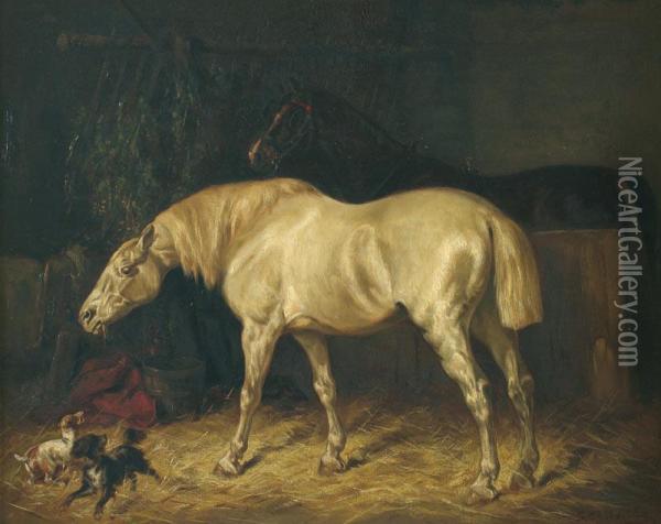 Chevaux Oil Painting - Gustaaf Colsoulle