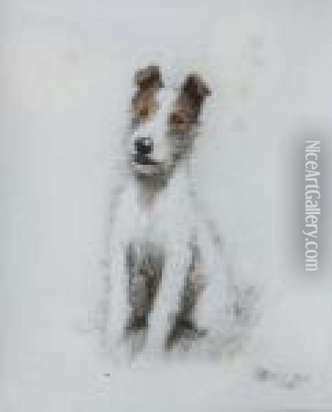 Study Of A Fox Terrier Oil Painting - Cecil Charles Aldin