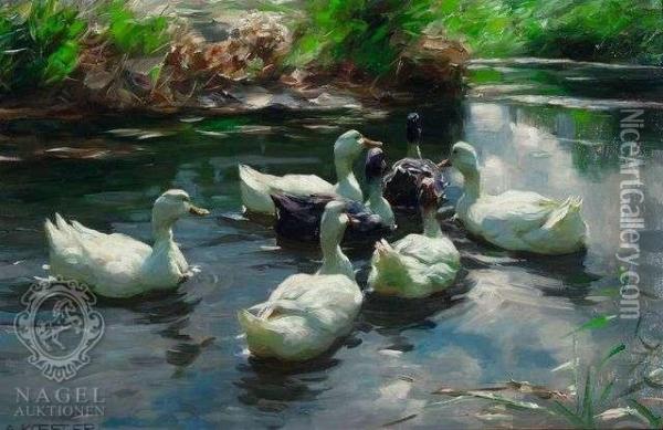 Seven Ducks At Lakeshore Oil Painting - Alexander Max Koester