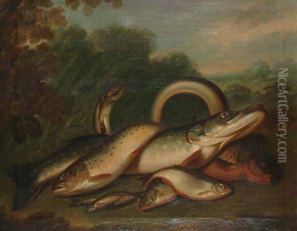 A Catch Of Freshwater Fish Oil Painting - Edward Coleman