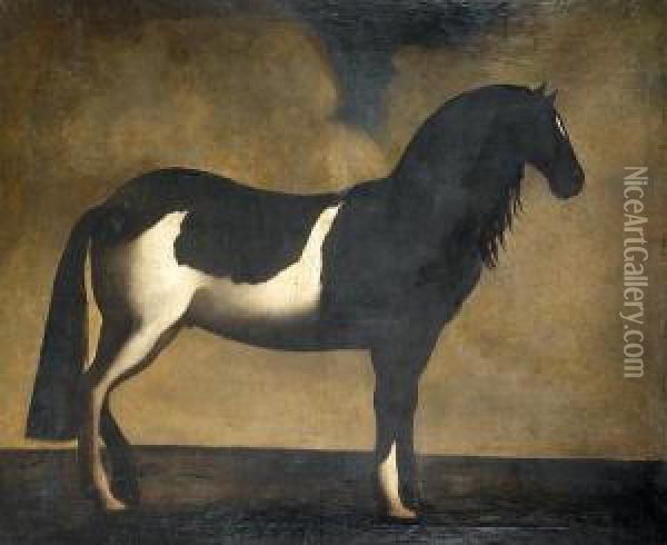 A Black And White Brindled Horse Standing In Profile Oil Painting - David Klocker Von Ehrenstrahl