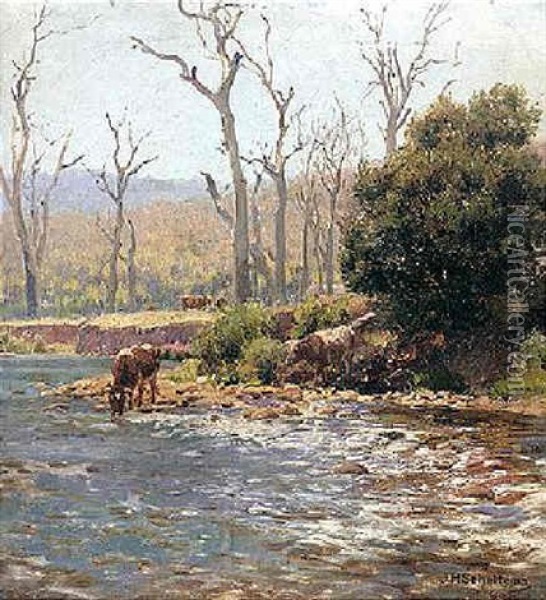 On The Banks Of The River Mitta, Mitta, Victoria Oil Painting - Jan Hendrik Scheltema