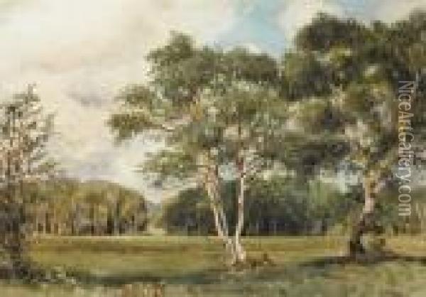 Parkland, Possibly Rathfarnham Oil Painting - Joseph Poole Addey
