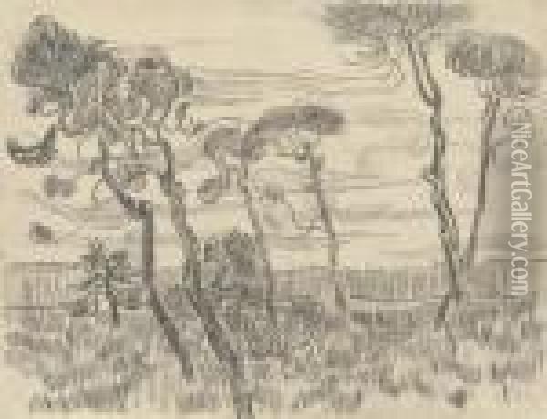 Six Pines Near The Enclosure Wall Oil Painting - Vincent Van Gogh