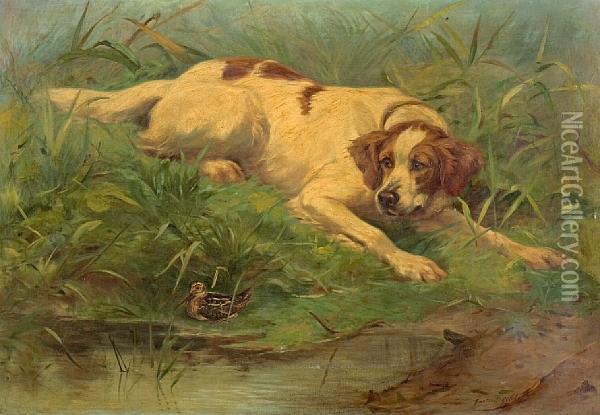 The Dog And The Woodcock Oil Painting - Gaston Gelibert