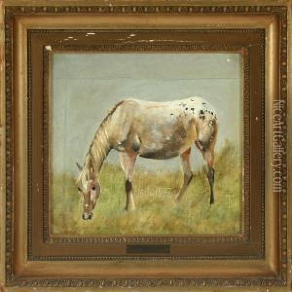 A Horse Oil Painting - Johan Thomas Lundbye