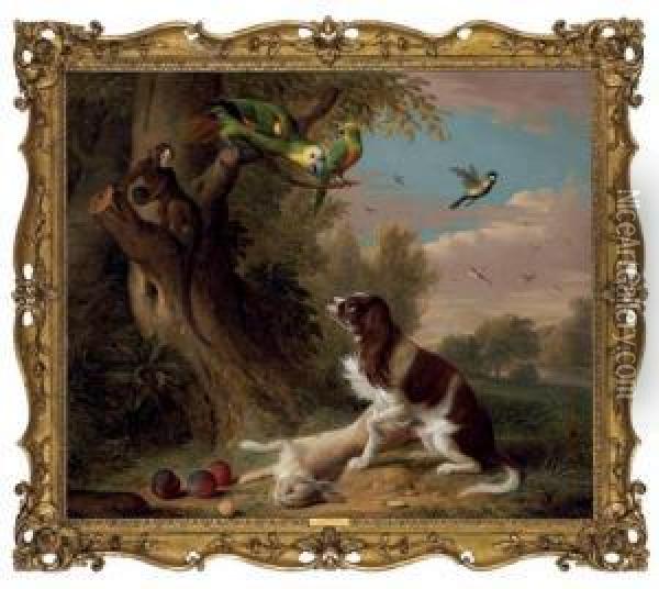 A Spaniel With A Dead Hare In A Landscape, With Parrots And A Monkey In A Tree Oil Painting - Jakob Bogdani Eperjes C
