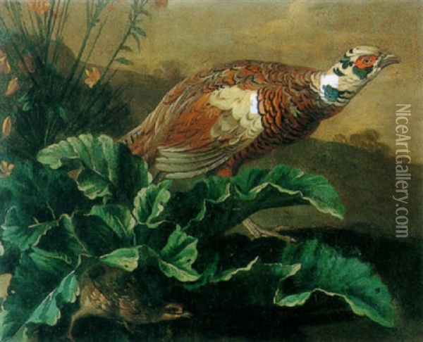 A Pheasant And A Partridge In A Landscape Oil Painting - Alexandre Francois Desportes