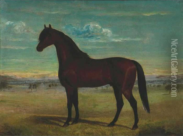 Horse In Landscape Oil Painting - Frederick, Woodhouse Snr.