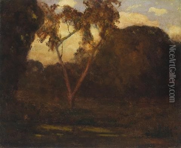 Tree In The Twilight Glow Oil Painting - Giuseppe Cadenasso