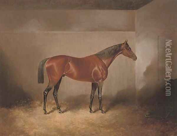 A bay hunter in a stable Oil Painting - James Scott Kinnear