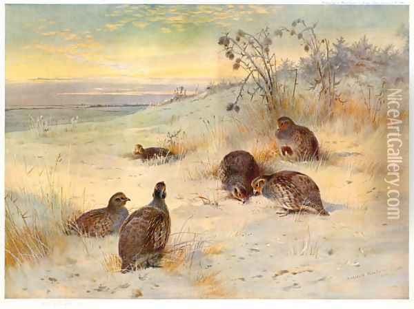 Close of a Winter's Day Oil Painting - Archibald Thorburn