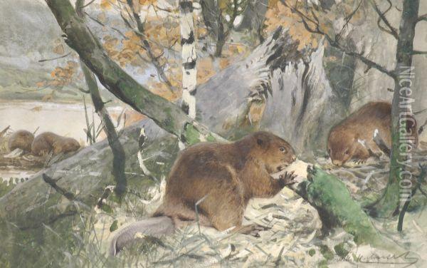 Beavers Constructing A Dam Oil Painting - Wilhelm Kuhnert