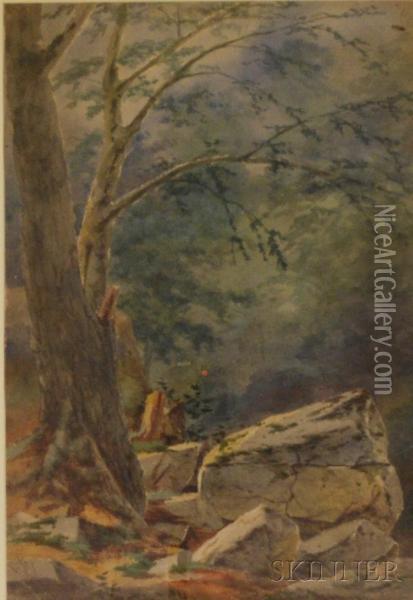 Woodland Scene. Oil Painting - Frederick Debourg Richards